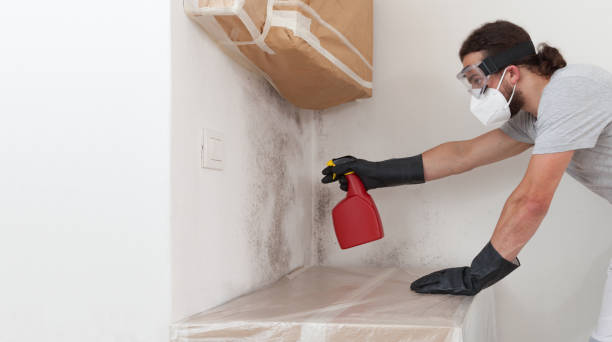 Professional Crawl Space Mold Remediation technician working in Elizabeth, NJ