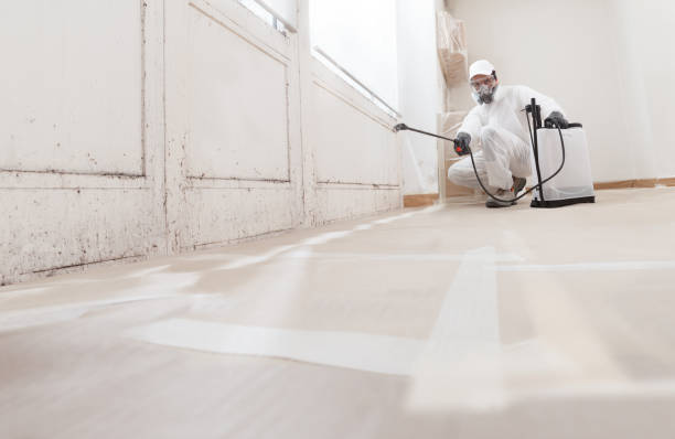 24/7 Emergency Crawl Space Mold Remediation experts in Elizabeth, NJ