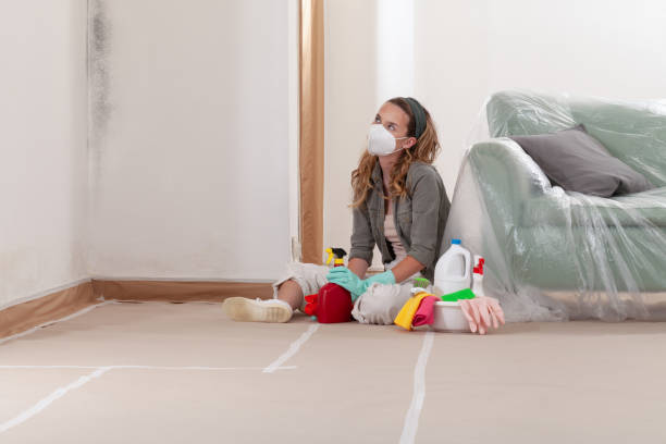 Reliable Crawl Space Mold Remediation contractor in Elizabeth, NJ by Mold Remediation HQ